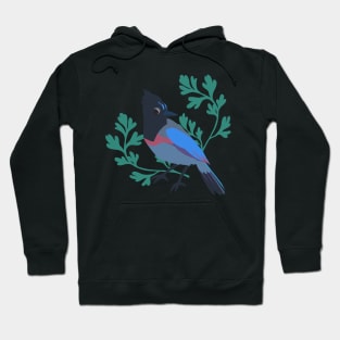 Spring Stellar’s Jay Hoodie